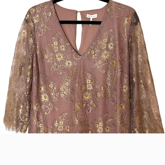 GENTLE Fawn G X F Collection Rose Gold Lace Dress - Picture 5 of 9